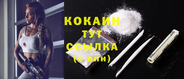 дурь Осташков