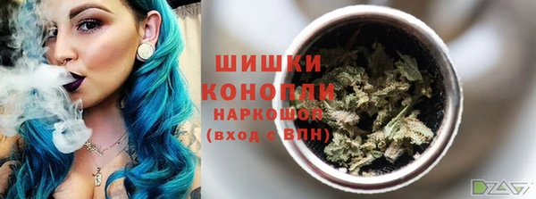 дурь Осташков