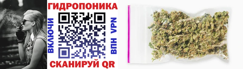 купить наркотики сайты Снежногорск Шишки марихуана индика